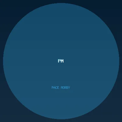 Pace Morby