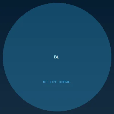 Big Life Journal