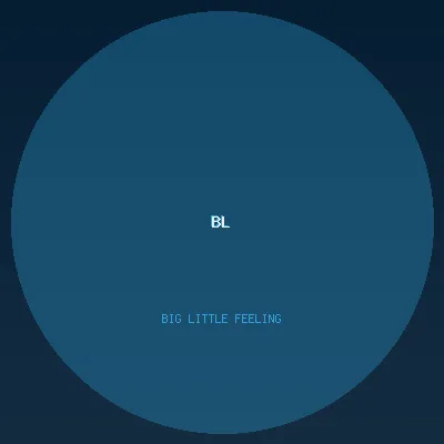 Big Little Feelings