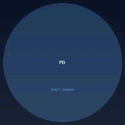 Punit Dhawan