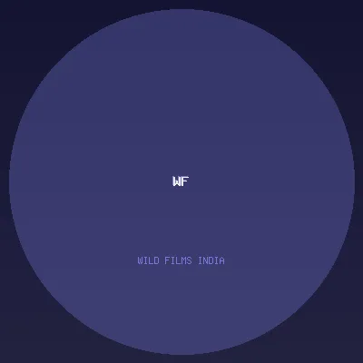 Wild Films India