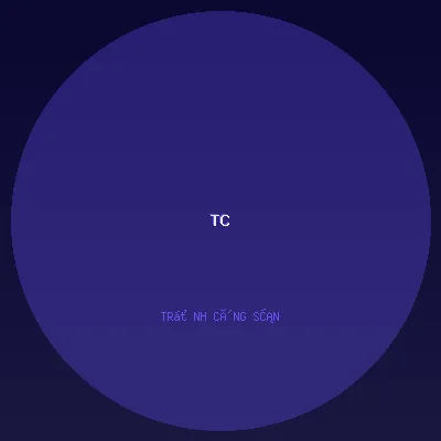 Trịnh Công Sơn Legacy