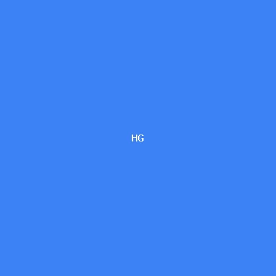 HAGL Group