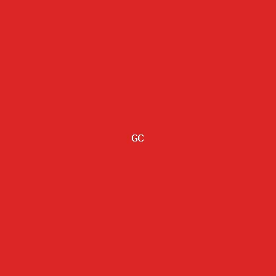 GO! (Big C Vietnam)