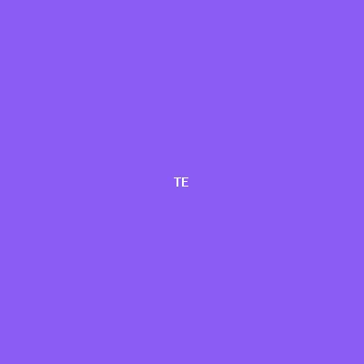 Topica Edtech Group