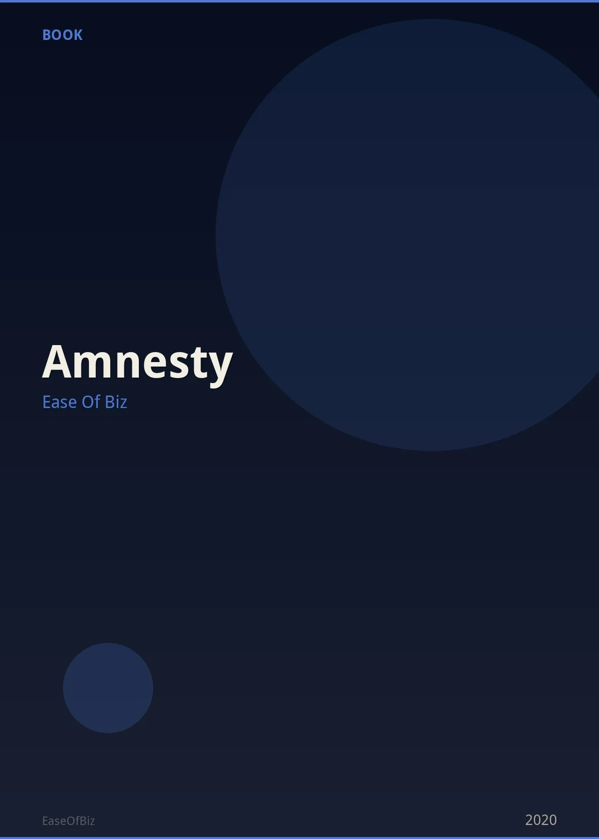 Amnesty