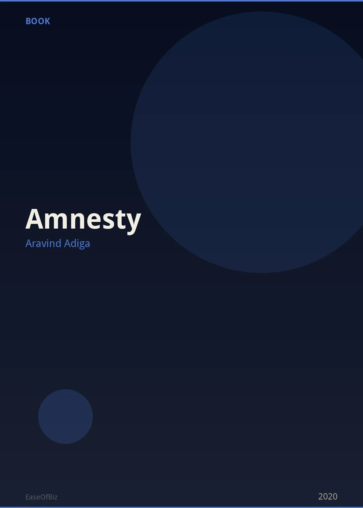 Amnesty